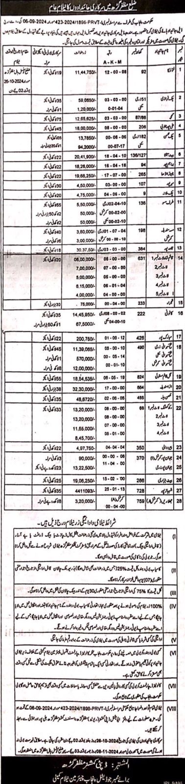 Auction Image
